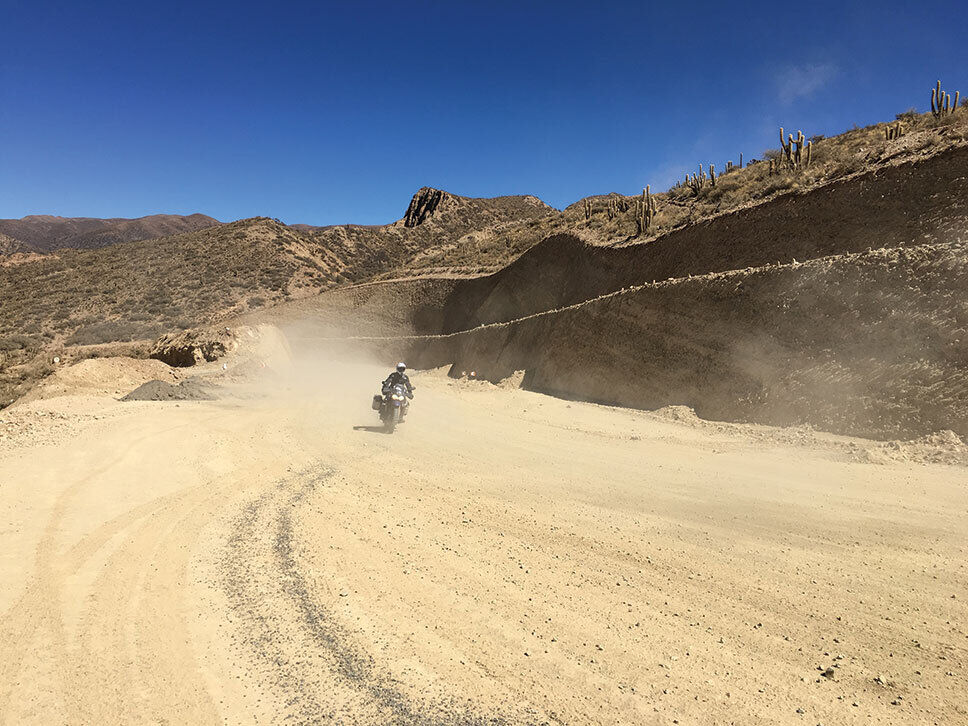billy ward soaring with condors