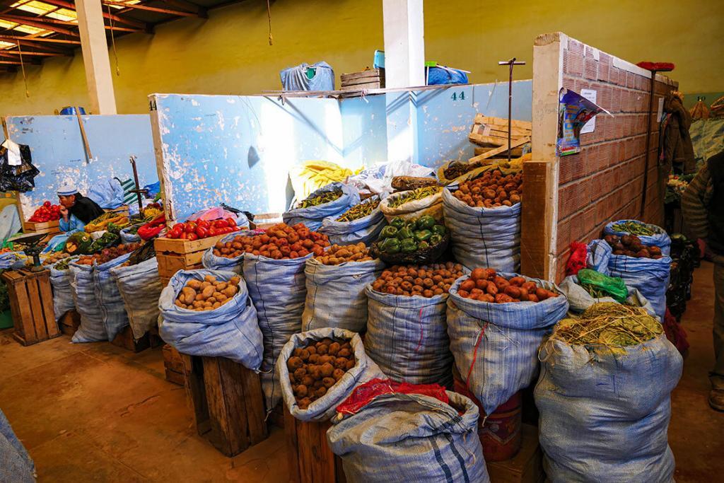 billy ward soaring with condors