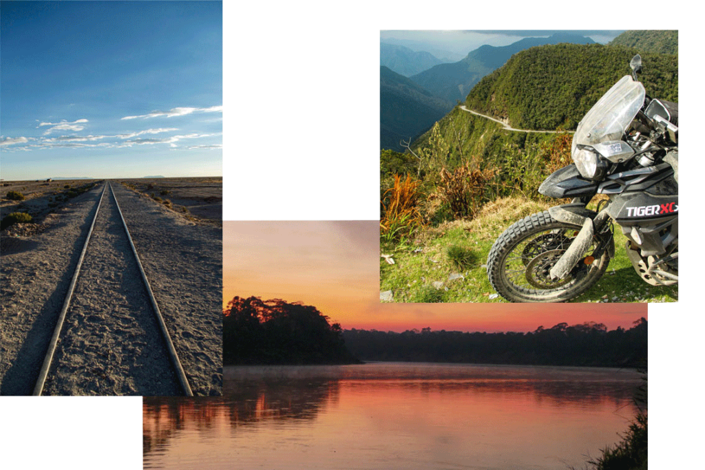 billy ward soaring with condors