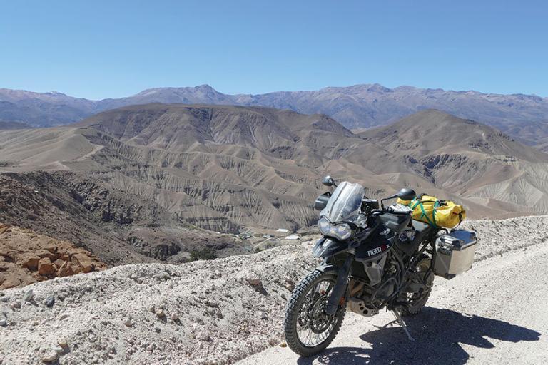 billy ward soaring with condors