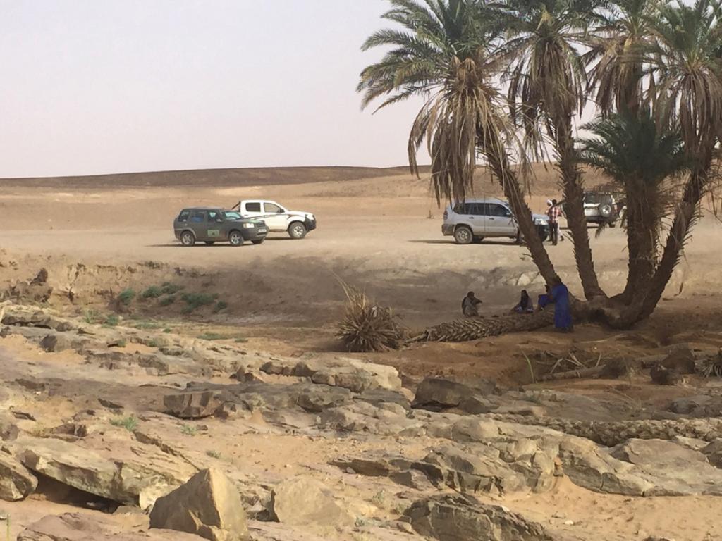 land rover freelander 1 sahara2