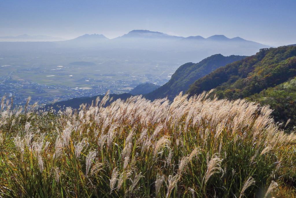 japan karin-marijke vis coen wubbels