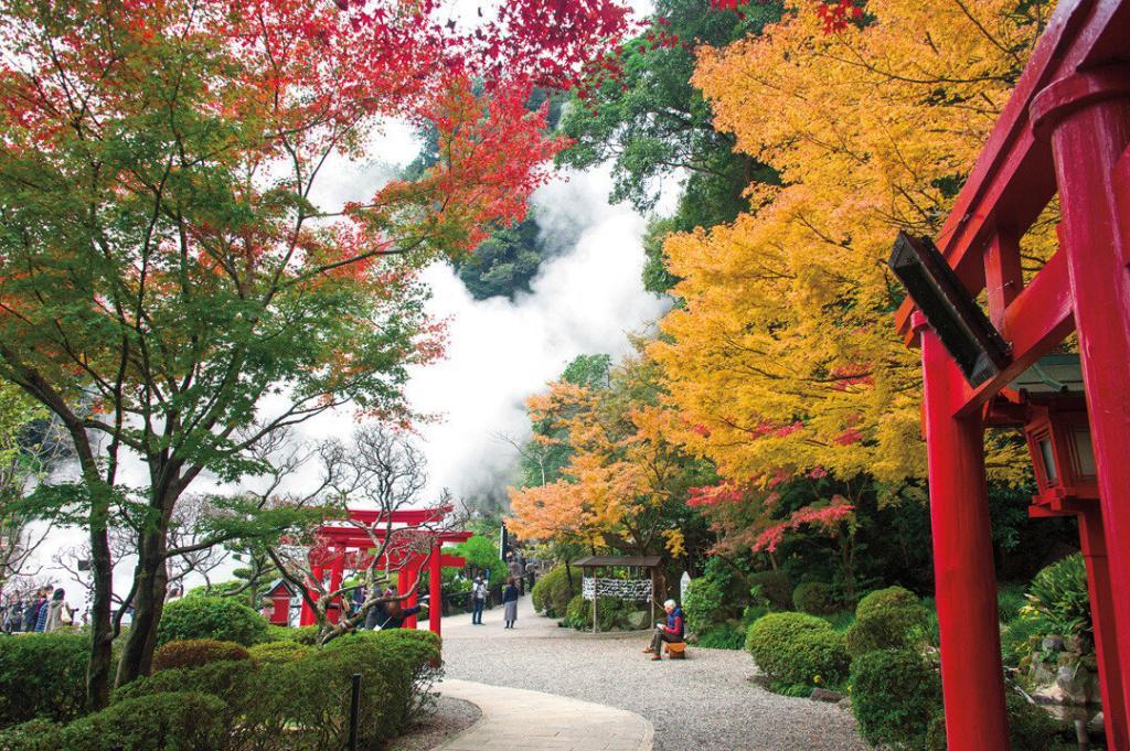 japan karin-marijke vis coen wubbels