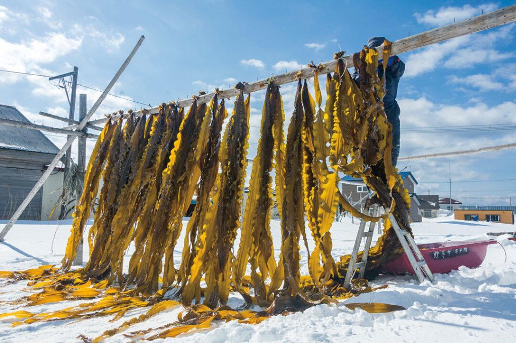 japan karin-marijke vis coen wubbels