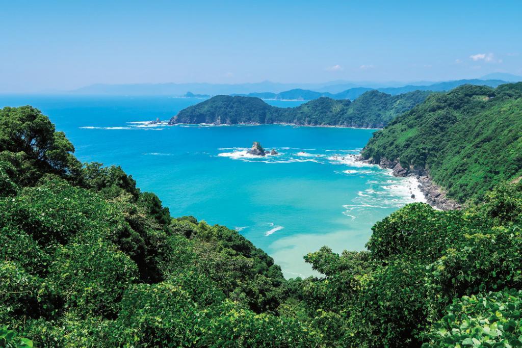 japan karin-marijke vis coen wubbels