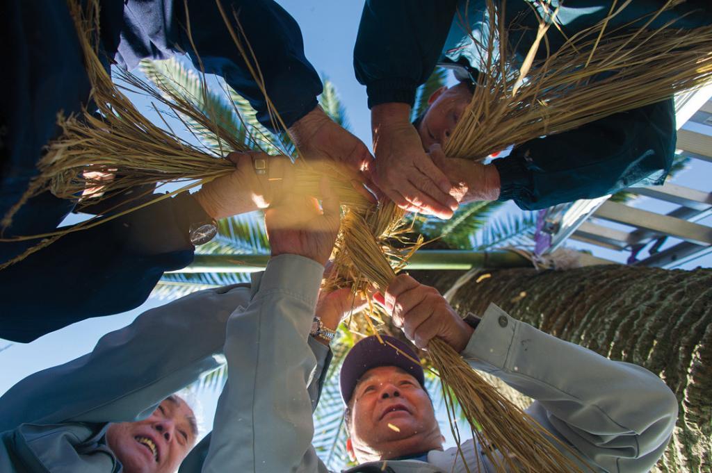 japan karin-marijke vis coen wubbels