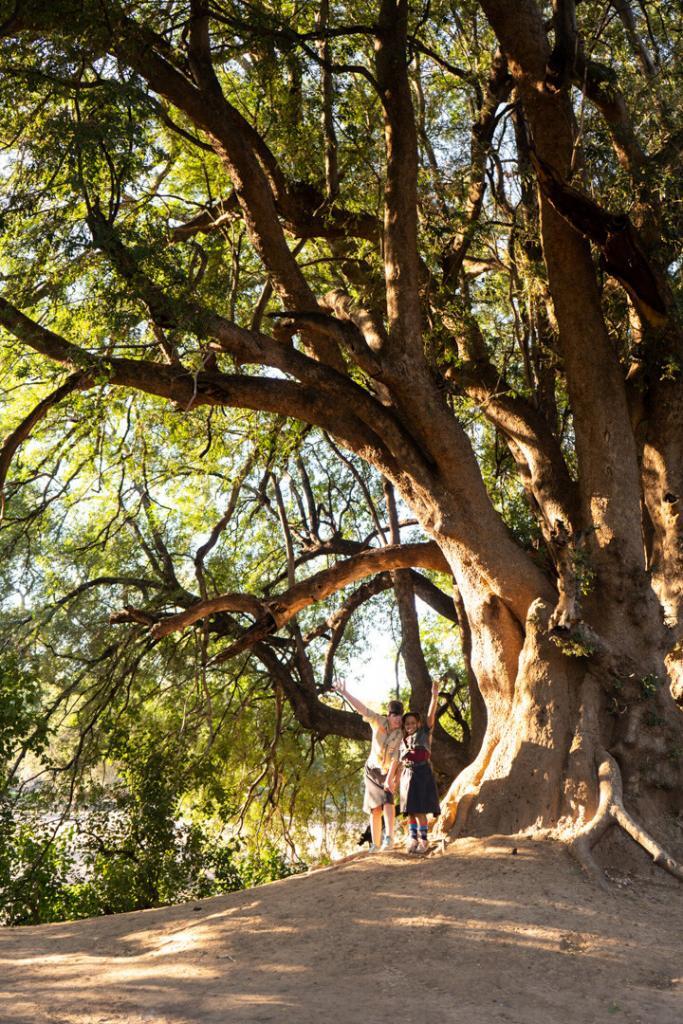 anton poplet global vision 2020 4x4outfar