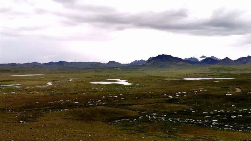 high moor kate leeming