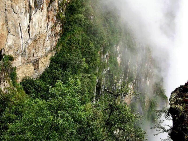 inca bridge and rain forest kate leeming