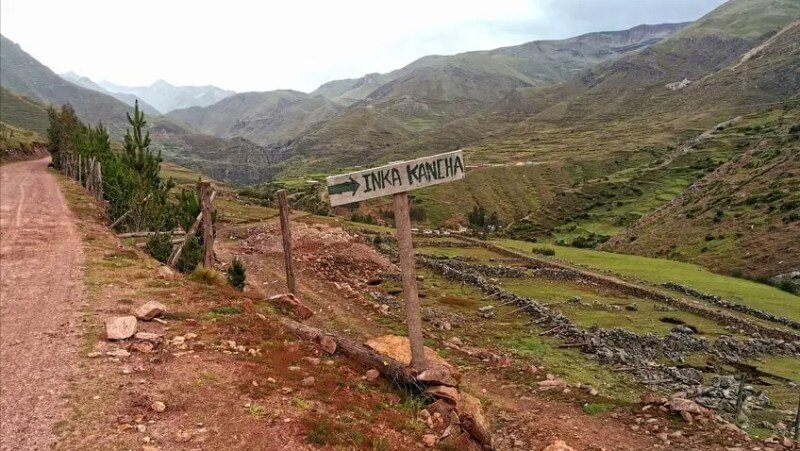 our dog at the pass kate leeming