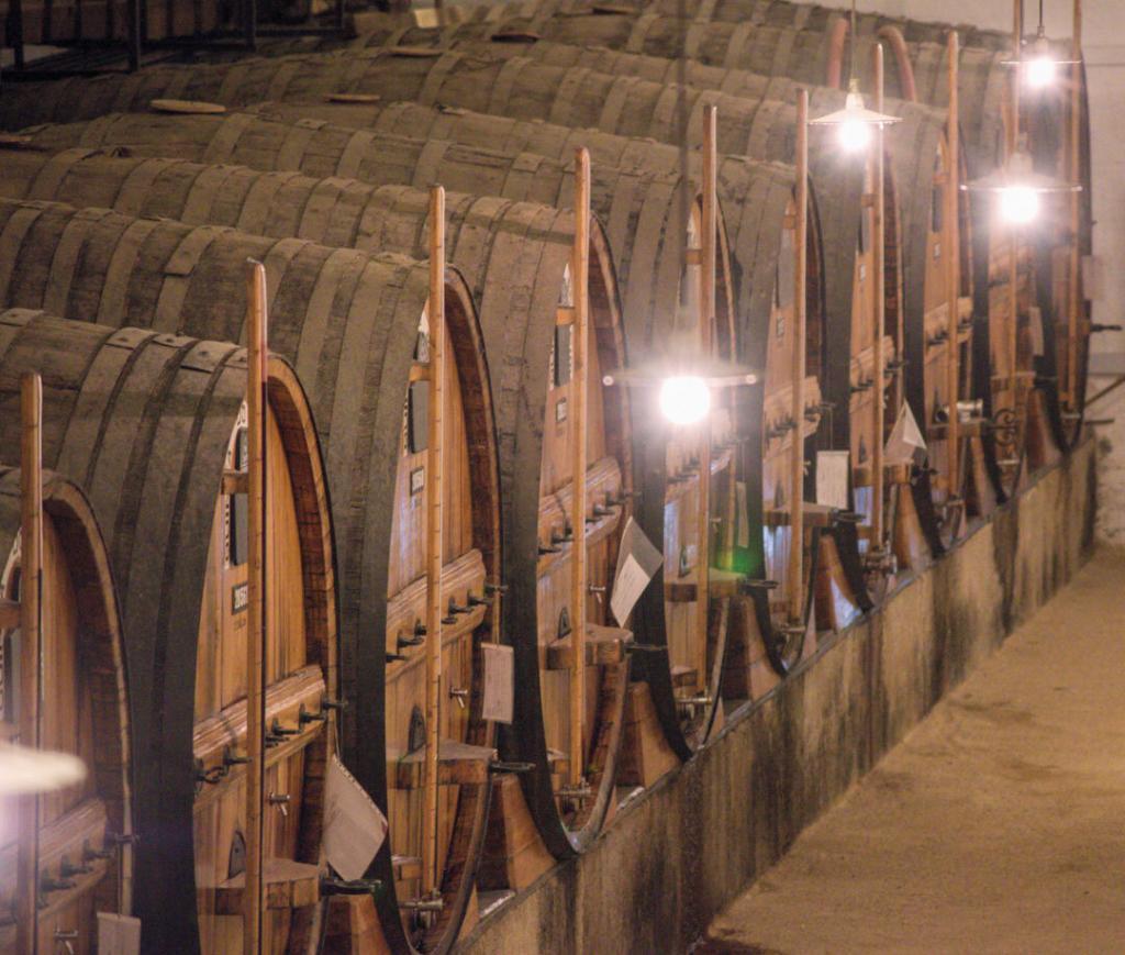portugal port wine cellar