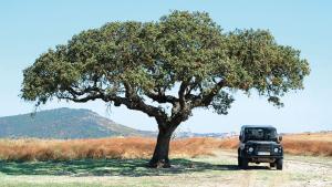 portugal feature image