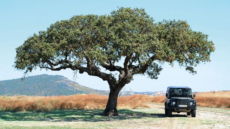 portugal feature image