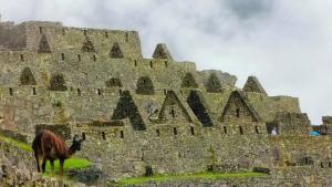 machu picchu FI kate leeming