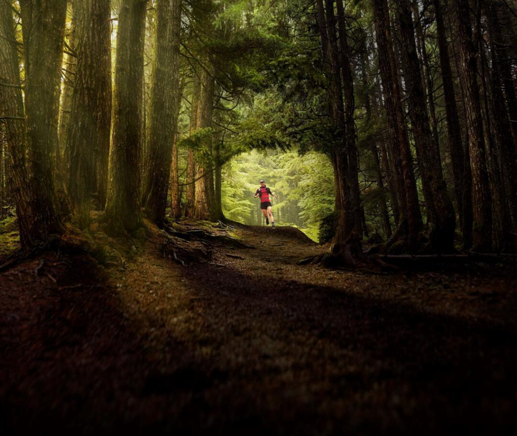 garmin inreach mini 2