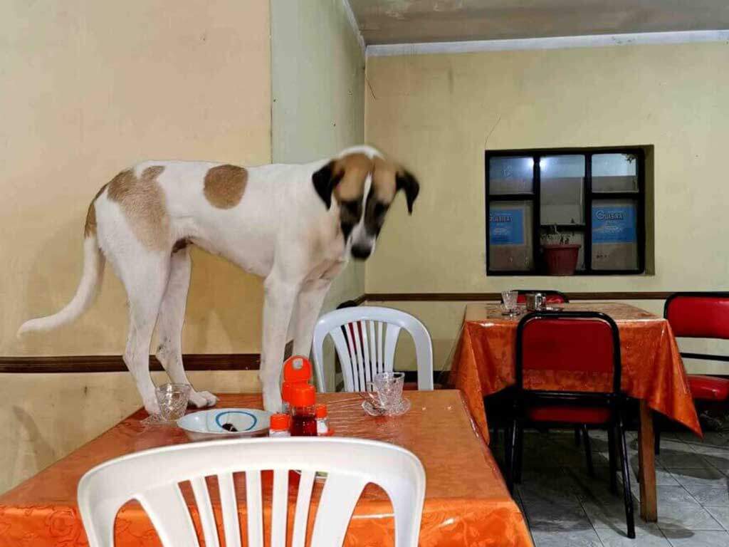 kate leeming bolivia