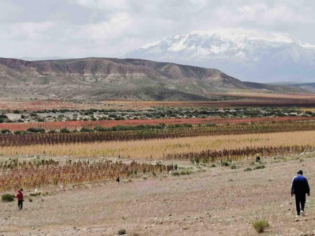 kate leeming bolivia