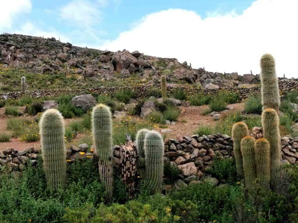 kate leeming bolivia
