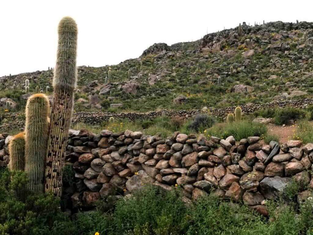 kate leeming bolivia