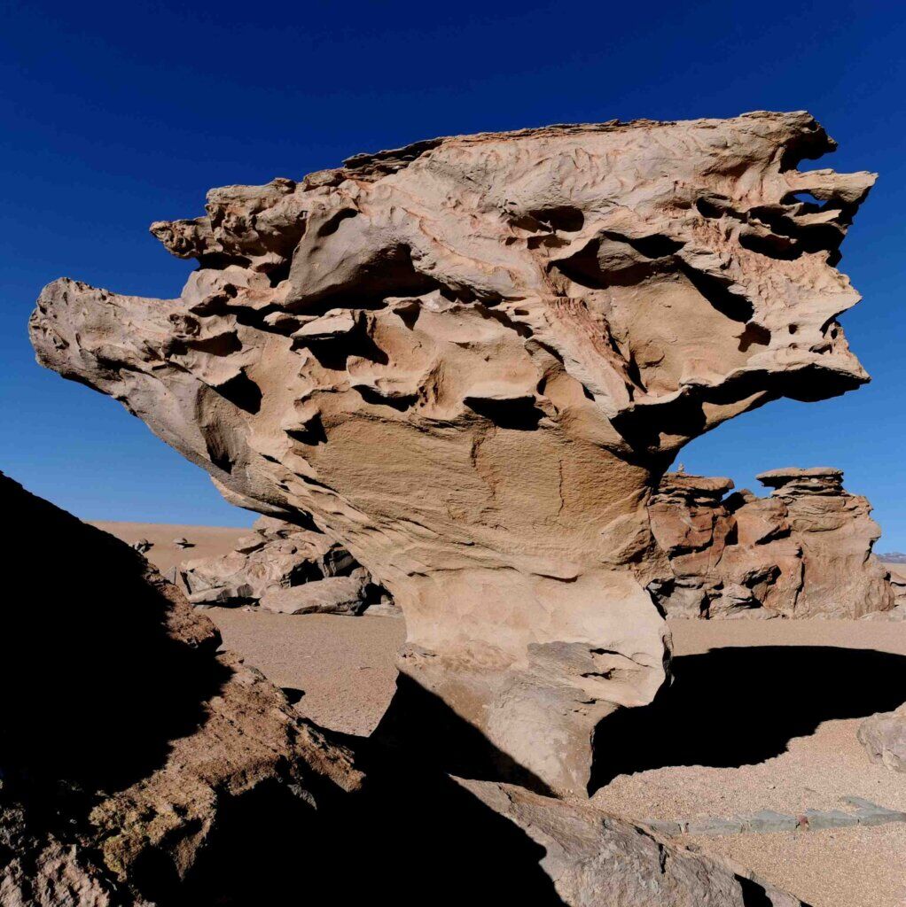 kate leeming bolivia