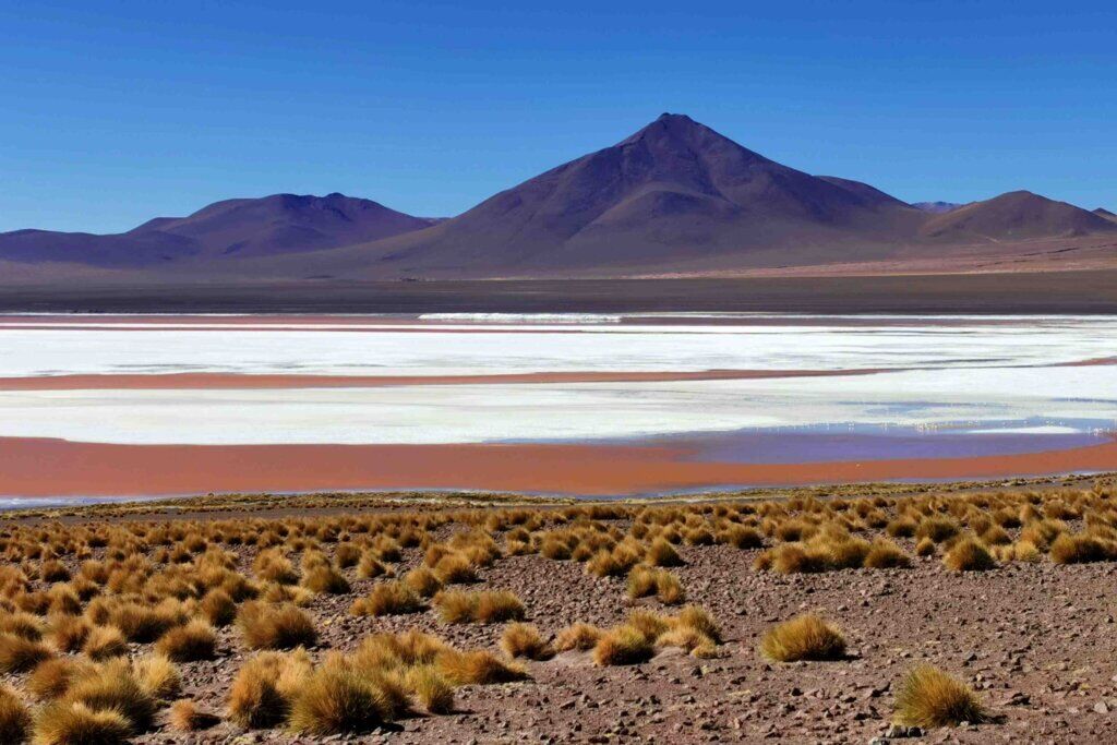 kate leeming bolivia