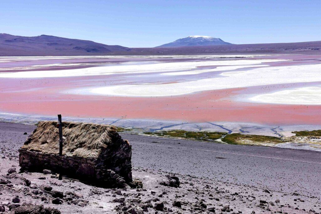 kate leeming bolivia