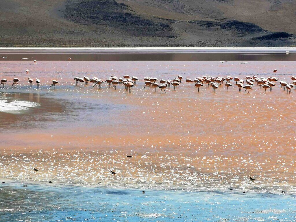 kate leeming bolivia