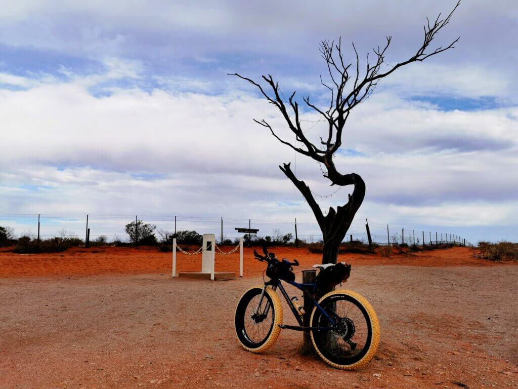 Cameron Corner is the tri-point where the borders of NSW, Queensland and South Australia meet. My bike is propped against a dead tree.