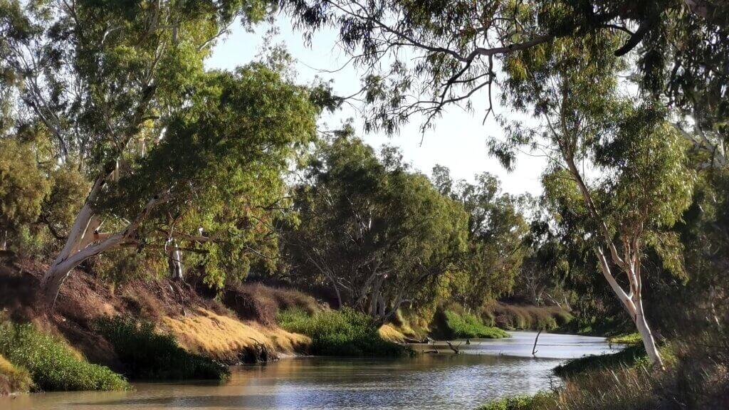 Cooper Creek at our campsite in Innamincka