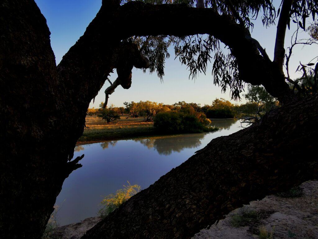The original DIG Tree was washed away by Cooper Creek floodwaters many decades ago – this is a photo of Cooper Creek through the branches of the Coolibah Tree now in its place.