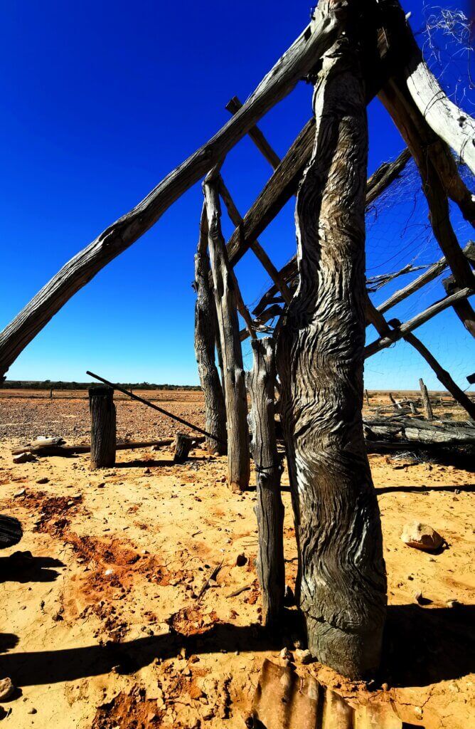 The remaining posts of the outstation shelter. There are patterns made by white ants – must have given them dental issues – the wood is still so hard!