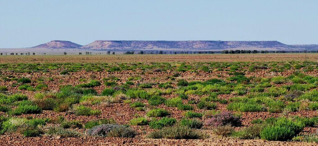 nothing but open space and some raised ground in the very far distance