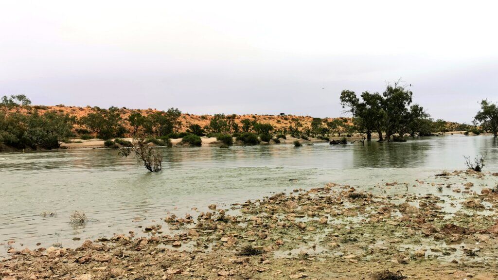 Don pointed out the remains of a fish trap used by the Wangkangurru (where a small rapid can be seen)