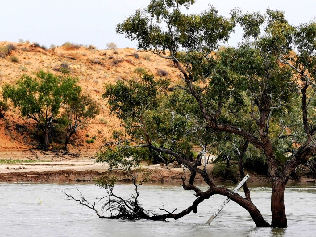 The flood marker wasn’t much use! (It has fallen over and leans aginst a tree in the middle of the river.)