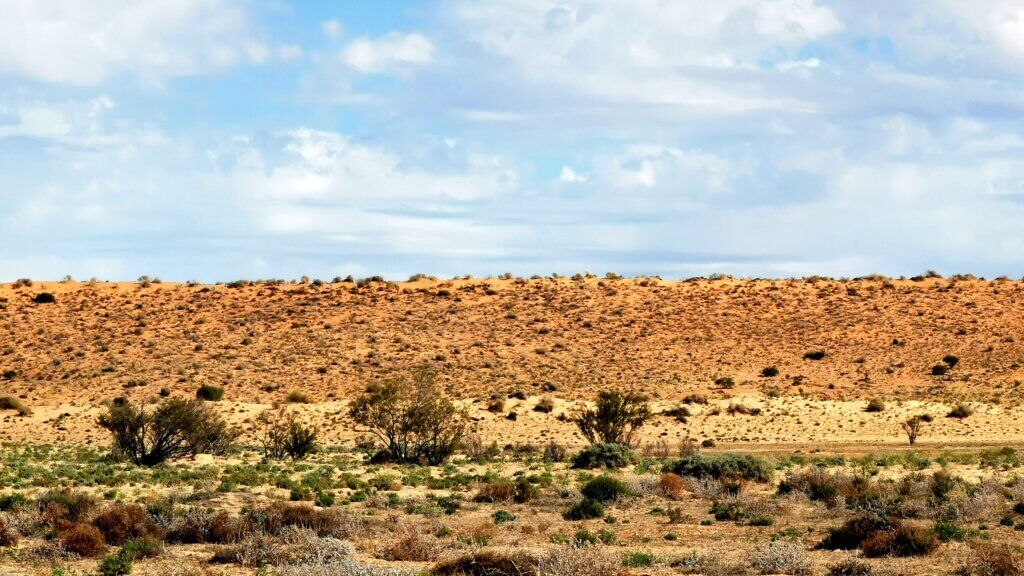 The parallel to the sand dunes adjacent to the track funnelled a nice tail wind for the first 85km