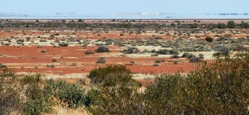 Gibber country – gibber stones act like filters for the soil