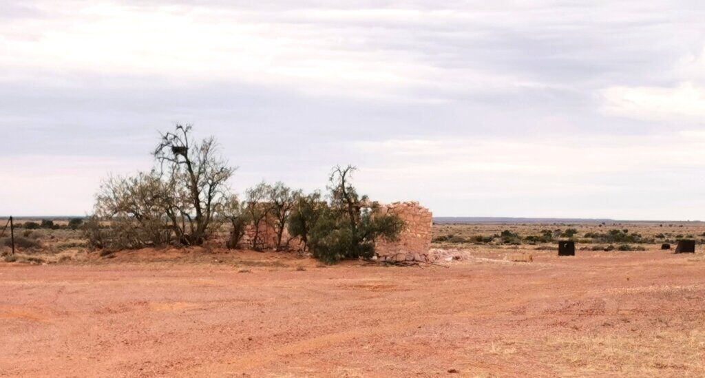 Imagine growing dates out here! Very barren land and virtually no trees.