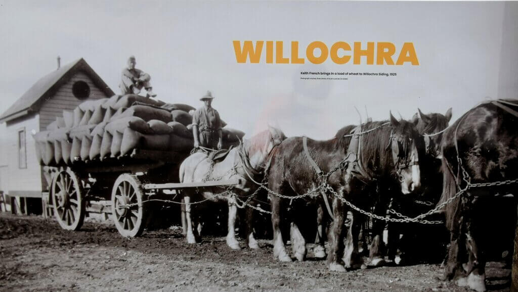 There were several ruins along the way. Willochra (means “flooded creek with green bushes”) was one such siding – a focal point for supplies to be delivered and produce to be transported to market in Adelaide. These places were once a hive of activity, but now Willochra is just a flooded creek with green bushes, a few haunting dead trees and a monument to mark the site