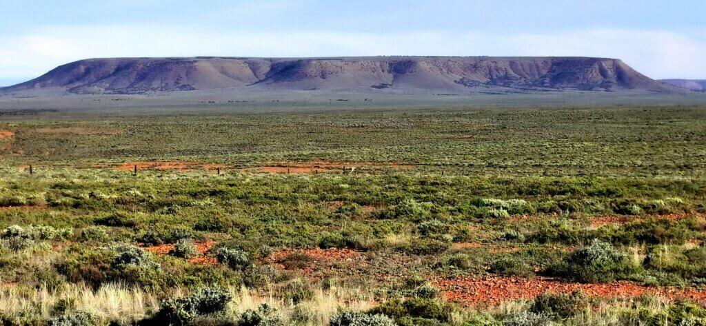 My memory of this view from the Stuart Highway near Port Augusta was of a parched brown landscape…but this year is a wet one!