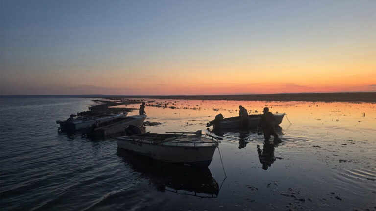 Breaking the cycle blog 8