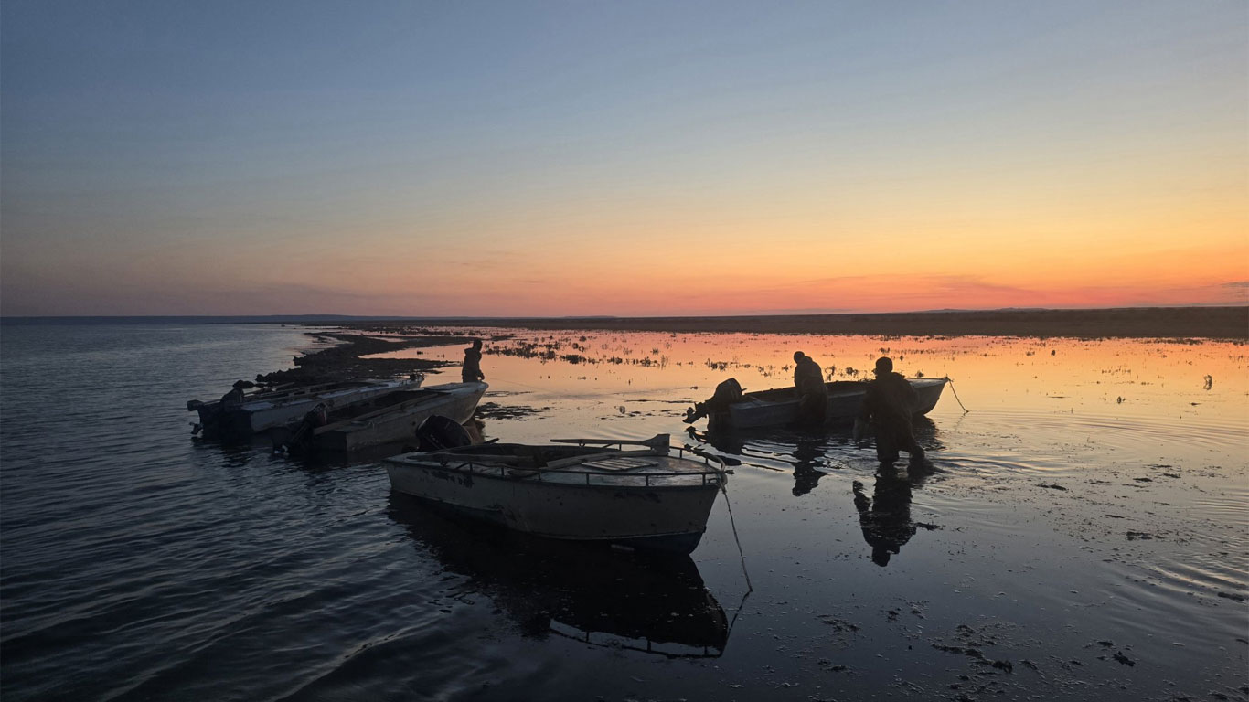 Breaking the cycle blog 8