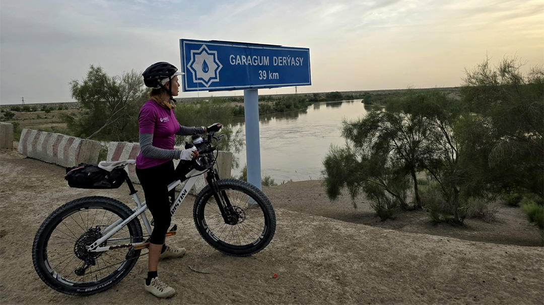 breaking the cycle blog 14 FI