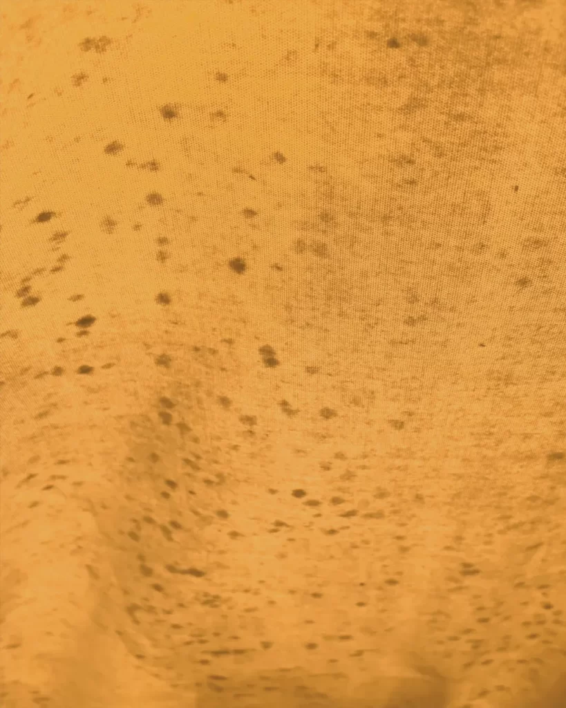 ARB Skydome Series 1. The lack of a roof vent led to mould on the ceiling