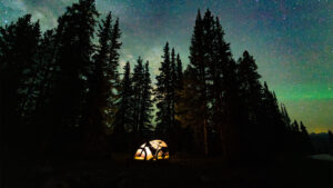 Bikepacking tent in front of a forest with star studded night time sky