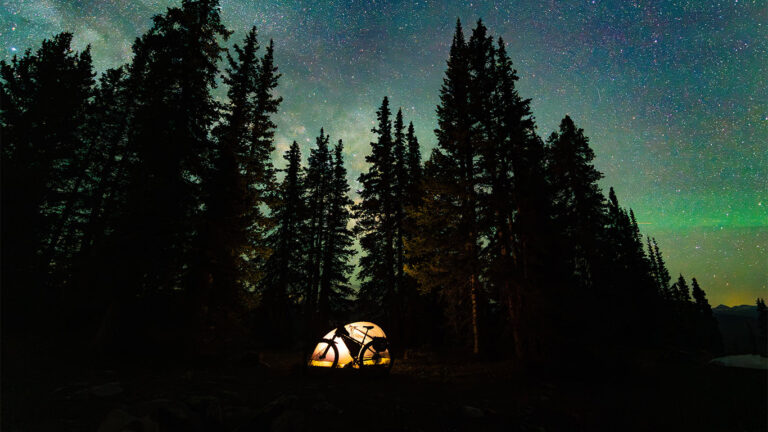 Bikepacking tent in front of a forest with star studded night time sky
