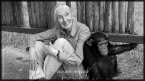 jane Goodall sitting on the ground with a chimpanzee